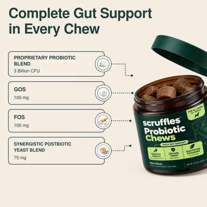 Scruffles Probiotic Chews