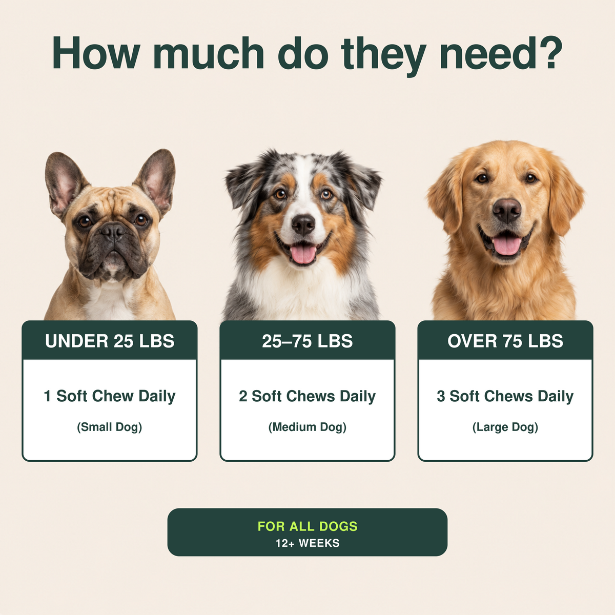 Scruffles Probiotic Chews