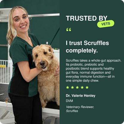 Scruffles Probiotic Chews