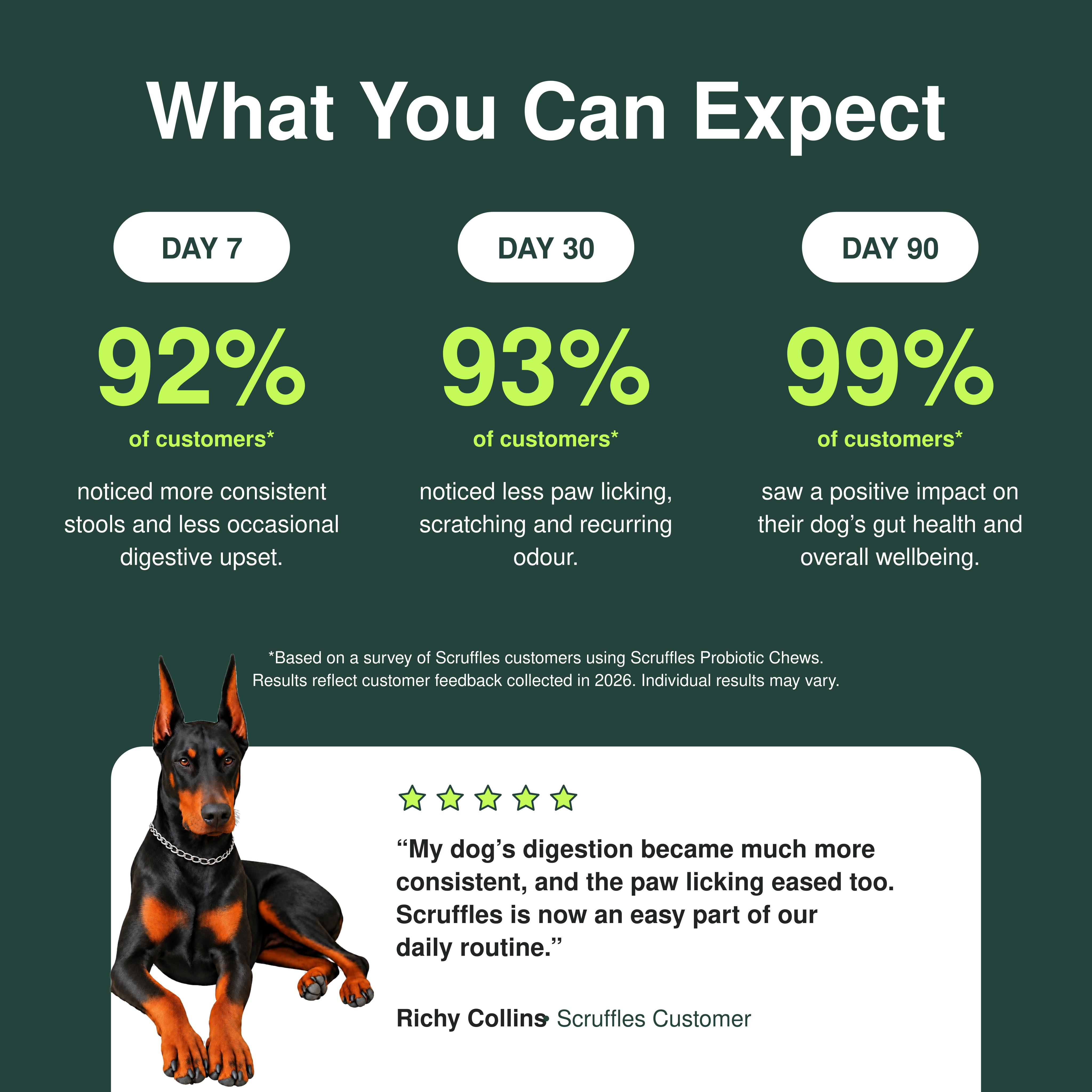 Scruffles Probiotic Chews