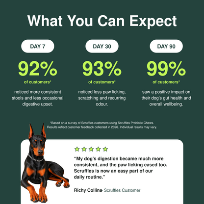 Scruffles Probiotic Chews